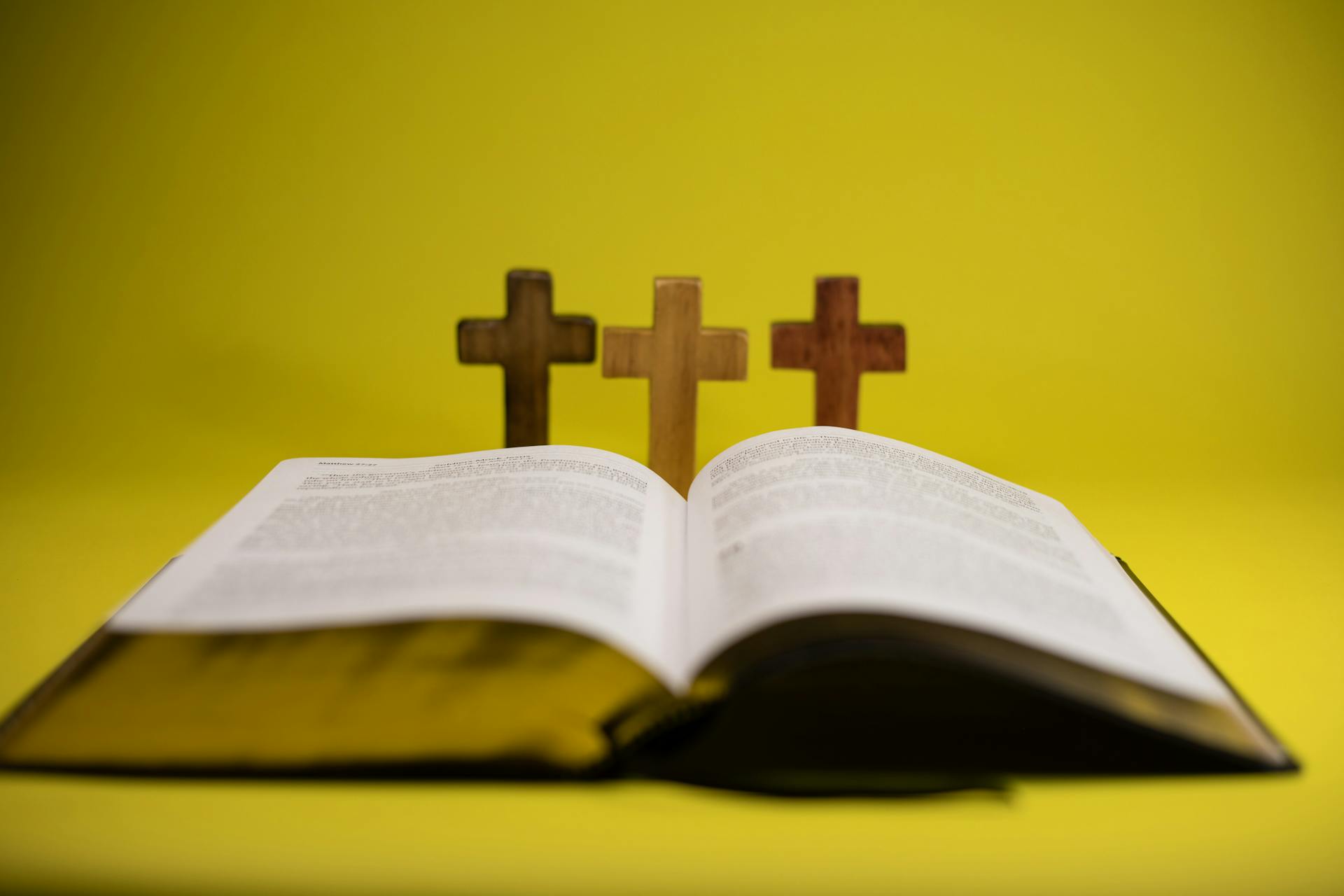 Understanding Psalm 23: A Shepherd’s Love